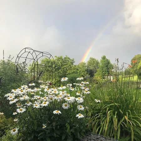 Sonnentau 2 Lejlighed