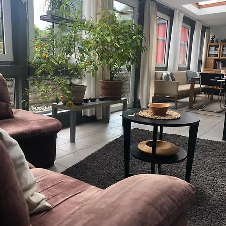 Sonnentau 2 * Holzminden