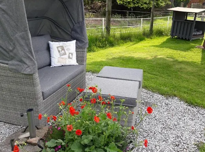 Sonnentau 2 Daire Holzminden