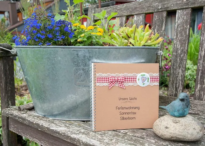 Sonnentau 2 * Holzminden